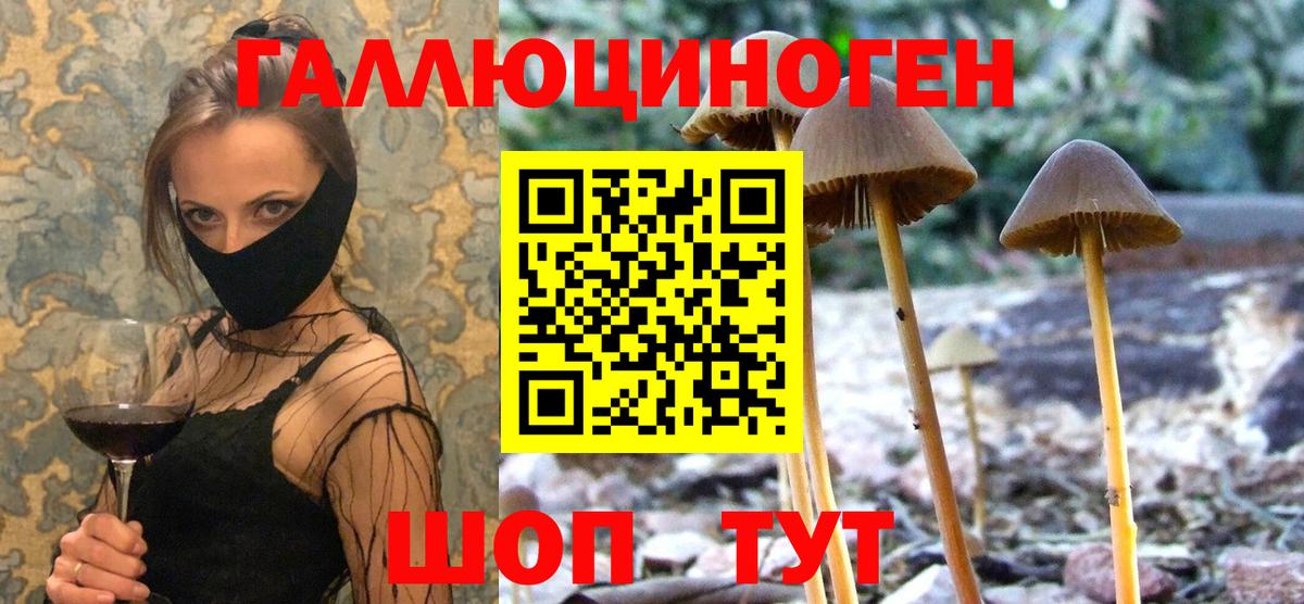 Буйнакск  Псилоцибиновые грибы GOLDEN TEACHER  Вход с VPN 