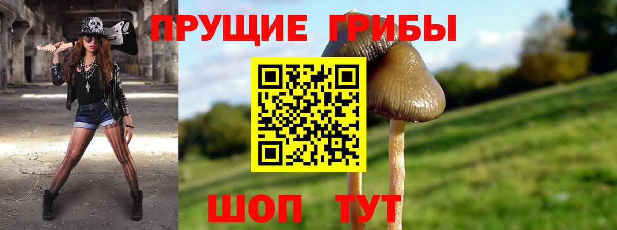 Галлюциногенные грибы мухоморы Буйнакск